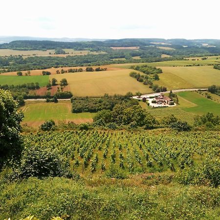 Gite Le Delice Villa Tannay  Bagian luar foto