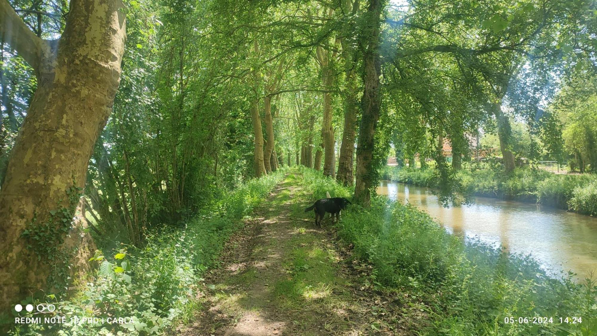 Gite Le Delice Villa Tannay  Bagian luar foto