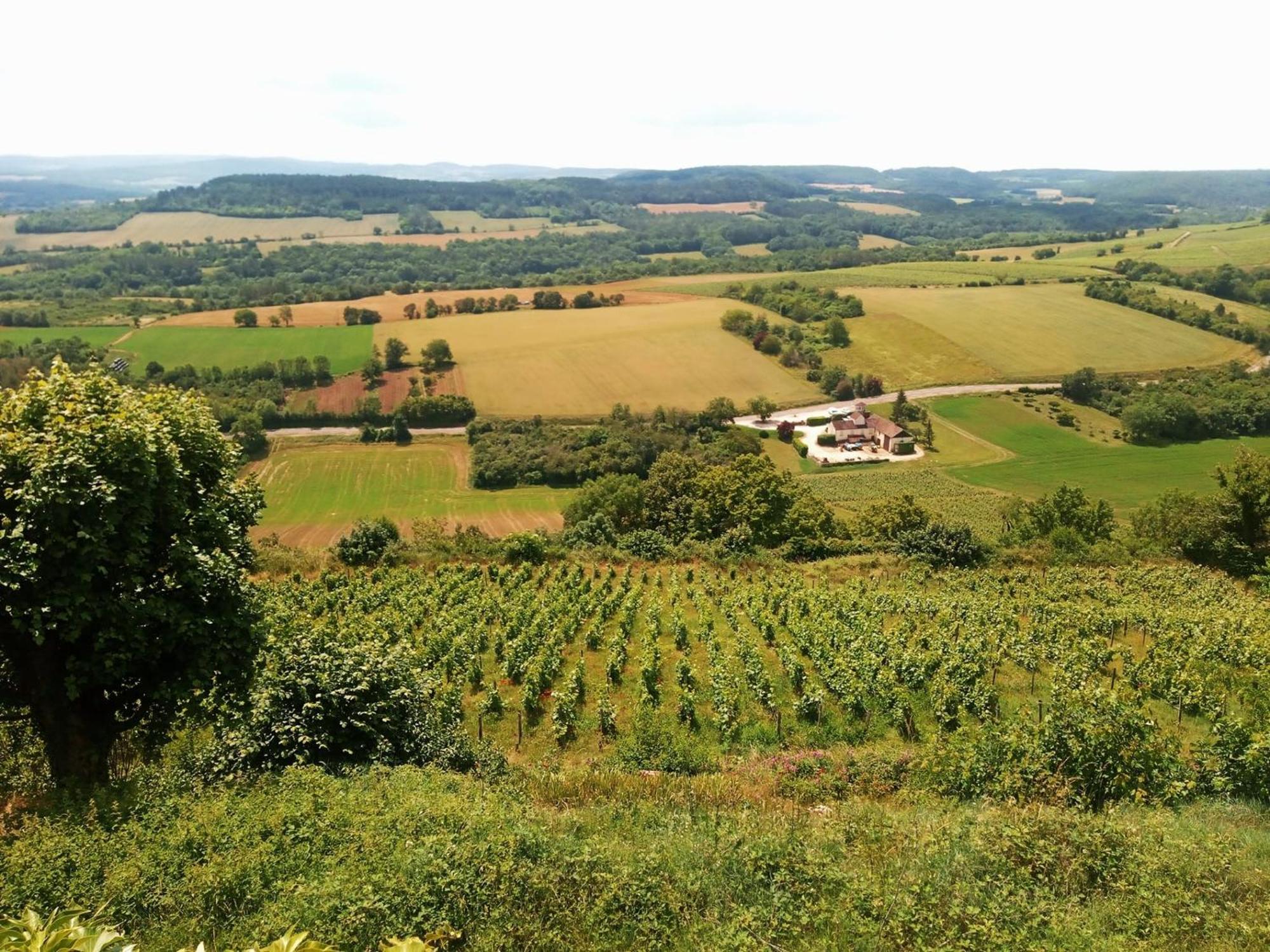 Gite Le Delice Villa Tannay  Bagian luar foto